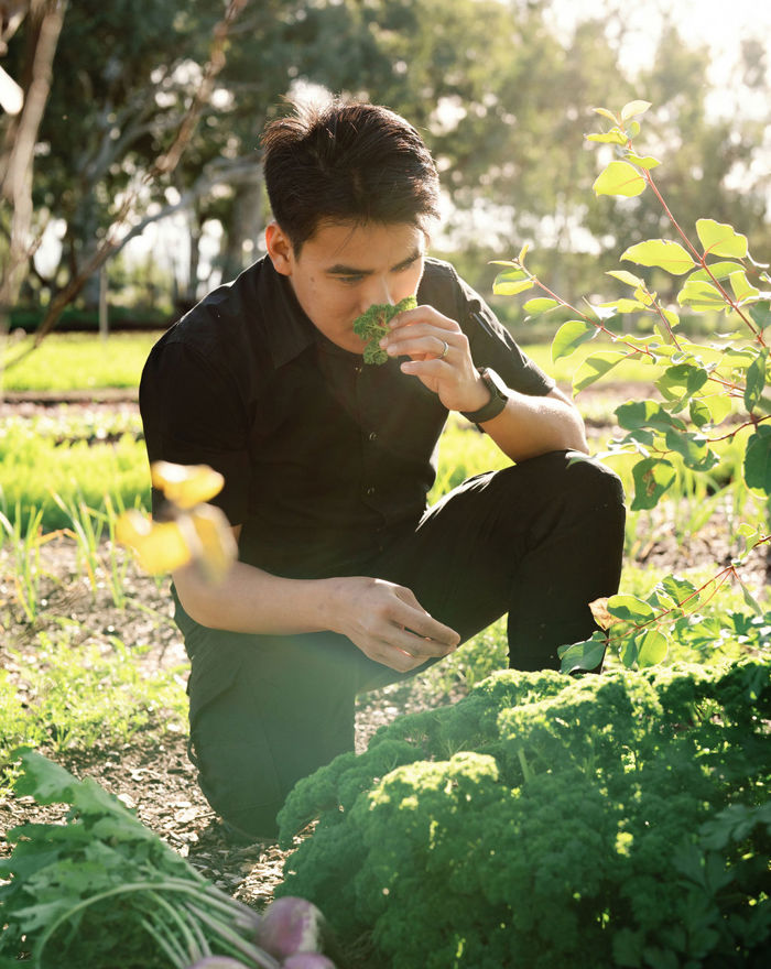 036_the_good_paddock_11_acre_farm_august_2025_Valentine_girardot_perth_photographer.JPG
