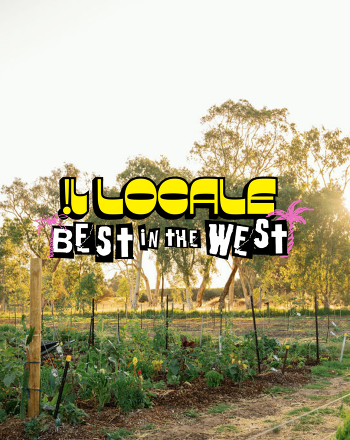 Untitled (Instagram Post) (1).png